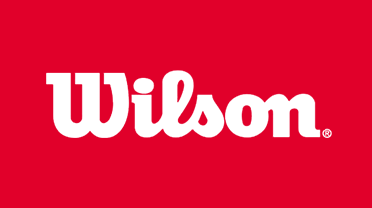 ����ʤWilson